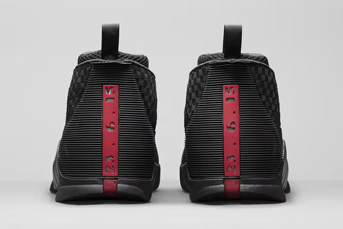 Air Jordan 15 "Stealth"